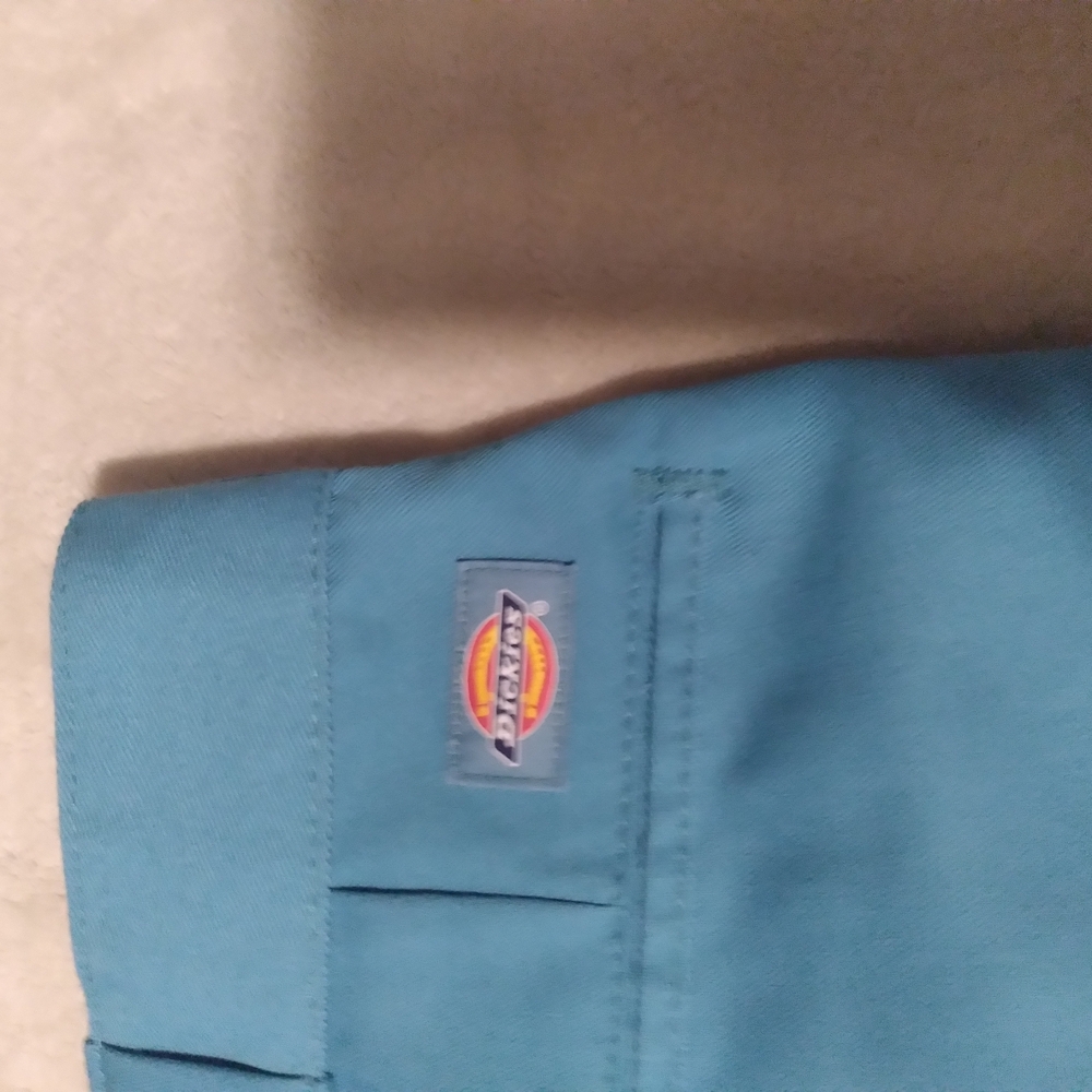dickies - Picture 5 of 7